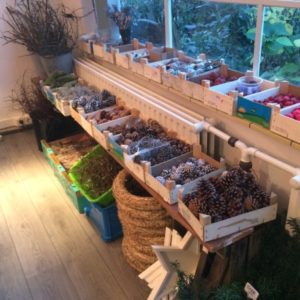 Kerstworkshop materialen