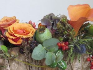 najaarsworkshops 2017