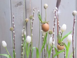 Voorjaarsworkshops 2017