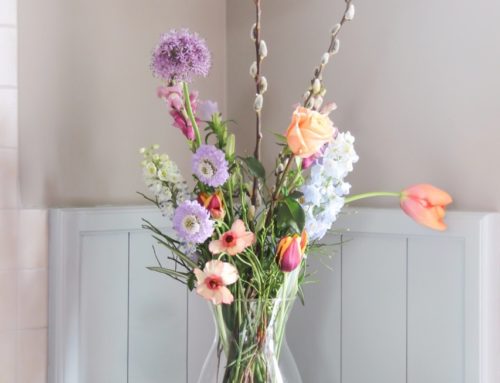 Voorjaarsbloemen in huis halen?