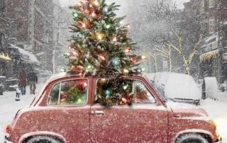 sfeerfoto_kerst_kerstboom_auto