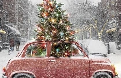 sfeerfoto_kerst_kerstboom_auto