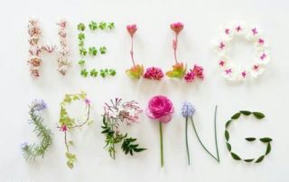voorjaar_2019_hello_spring