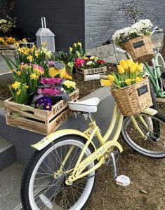 Voorjaar_2019_3
