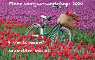 Voorjaarsworkshops 2020